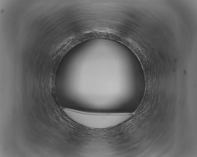 X0000087711110200705040909