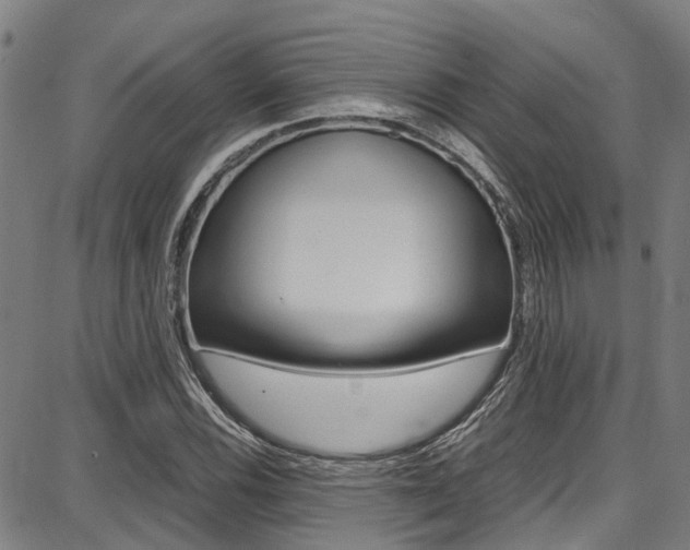 X0000087711116200705040909