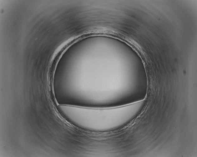 X0000087711120200705040909