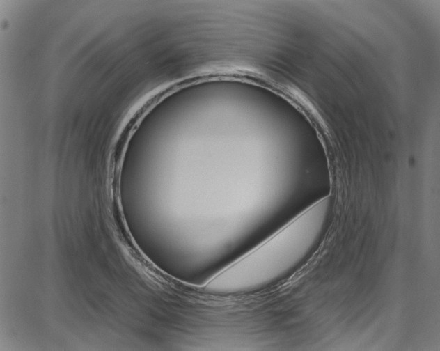 X0000087711124200705040909