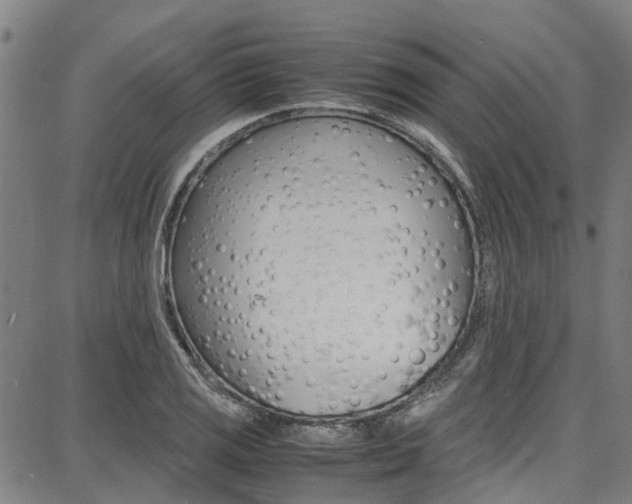 X0000087711125200705040909
