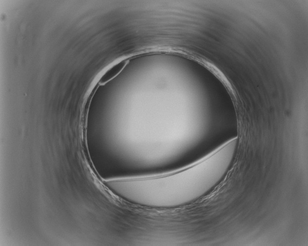 X0000087711148200705040910
