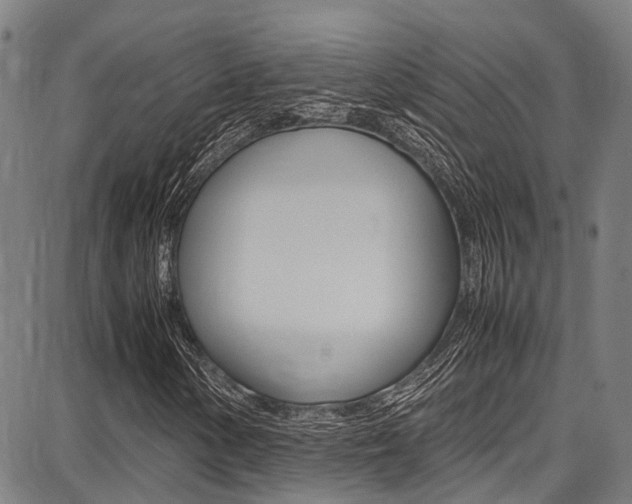 X0000087711154200705040909