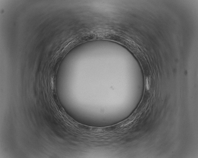 X0000087711155200705040909