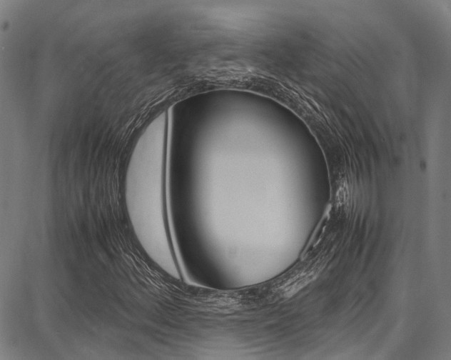X0000087711156200705040909