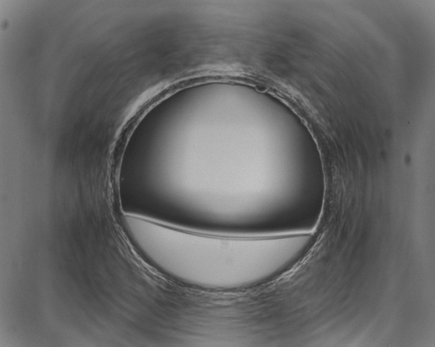 X0000087711168200705040909