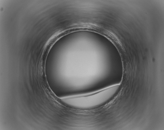 X0000087711172200705040909