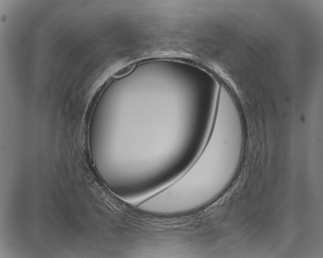 X0000087711173200705040909