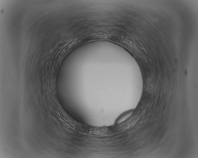 X0000087711201200705040907