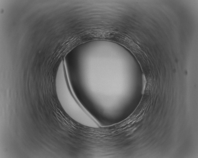 X0000087711202200705040907