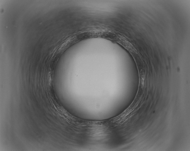 X0000087711204200705040908