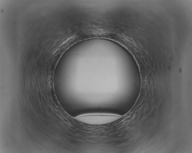 X0000087711205200705040908