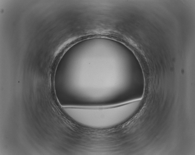 X0000087711214200705040908
