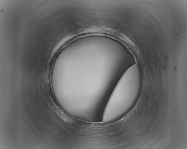 X0000087711216200705040908