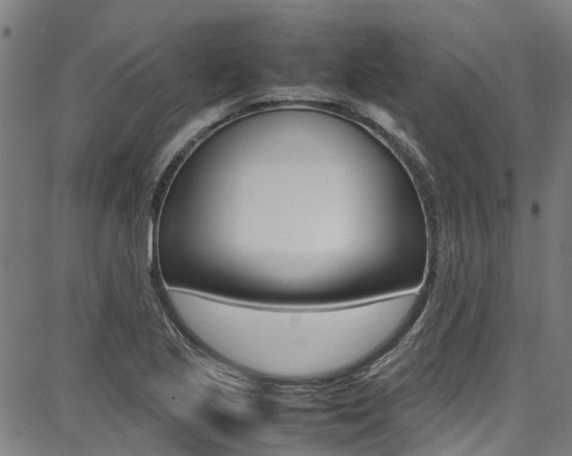 X0000087711221200705040908