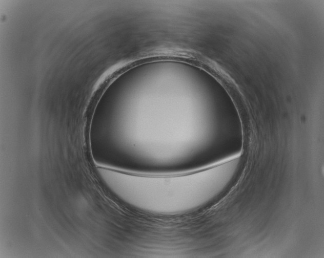 X0000087711222200705040908