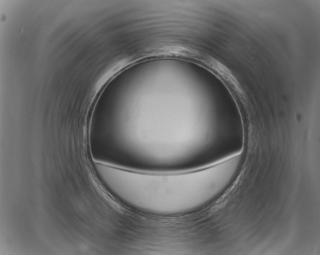 X0000087711234200705040908