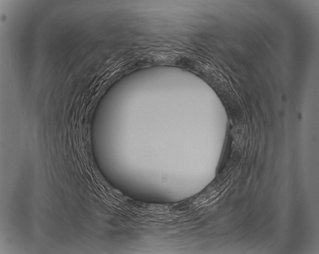 X0000087711249200705040907