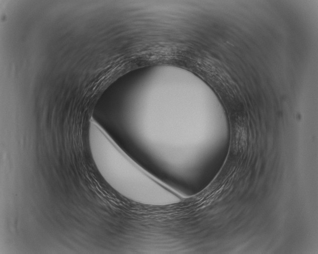 X0000087711250200705040907