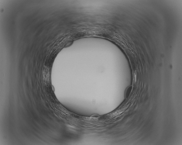 X0000087711251200705040907