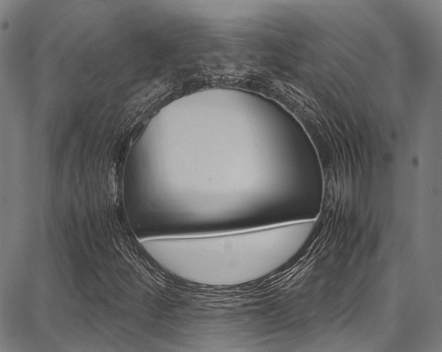 X0000087711252200705040907