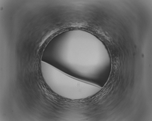X0000087711256200705040907