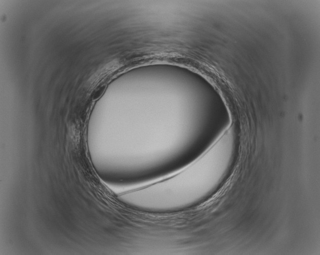X0000087711257200705040907