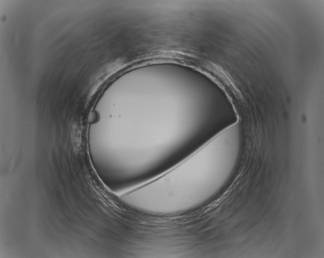 X0000087711260200705040907