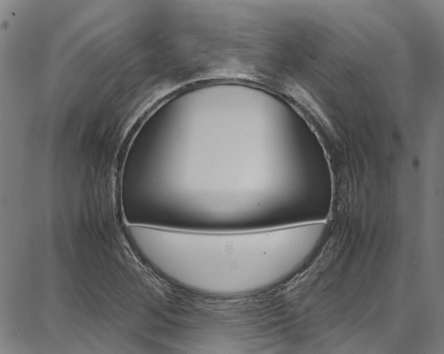 X0000087711268200705040907