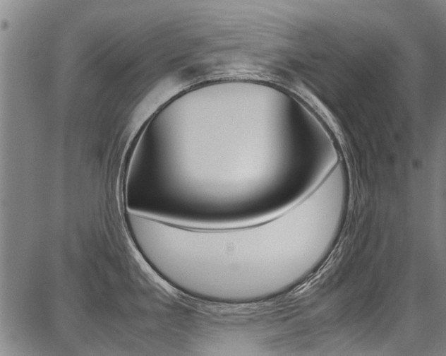 X0000087711293200705040907