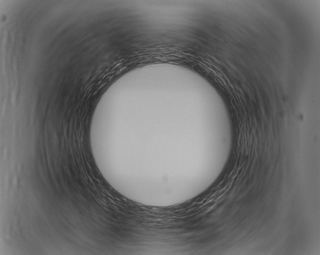X0000087711298200705040906