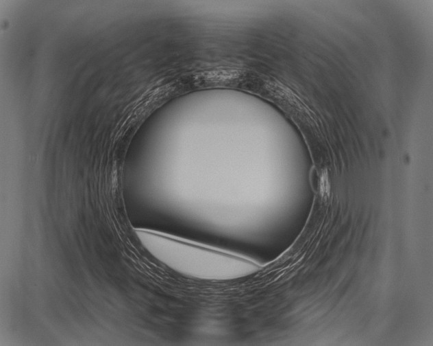 X0000087711299200705040906