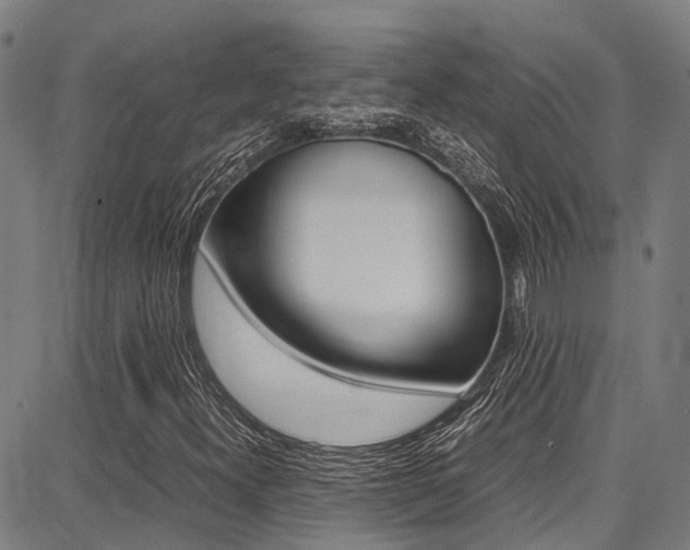 X0000087711300200705040906
