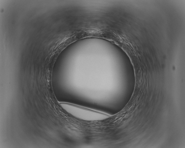 X0000087711301200705040906