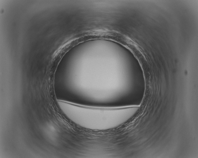 X0000087711304200705040906