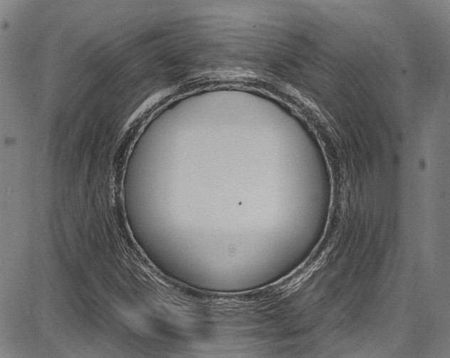 X0000087711306200705040906