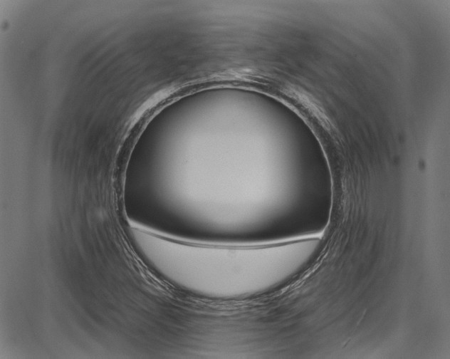 X0000087711308200705040906