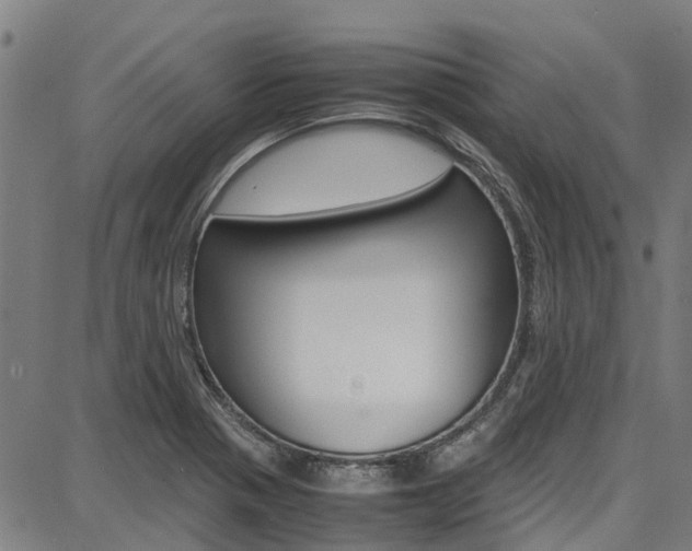 X0000087711321200705040906