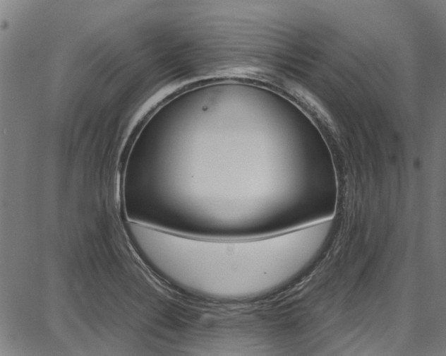 X0000087711324200705040906