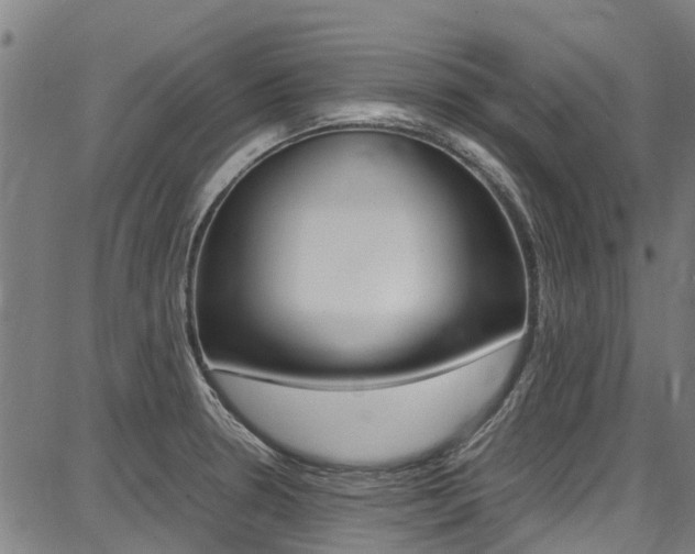 X0000087711330200705040906