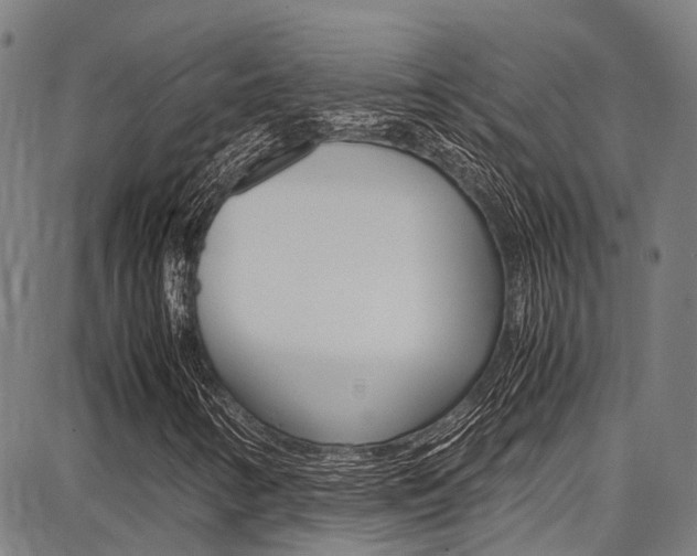 X0000087711346200705040906