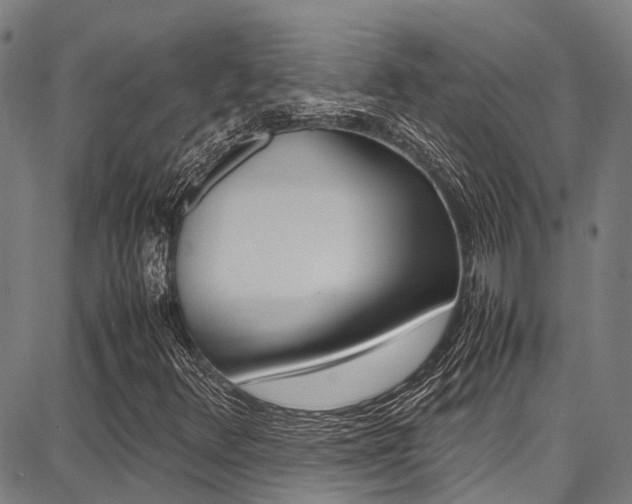 X0000087711348200705040906