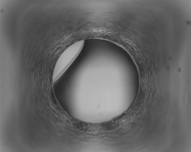X0000087711349200705040906