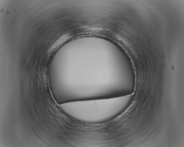 X0000087711354200705040906