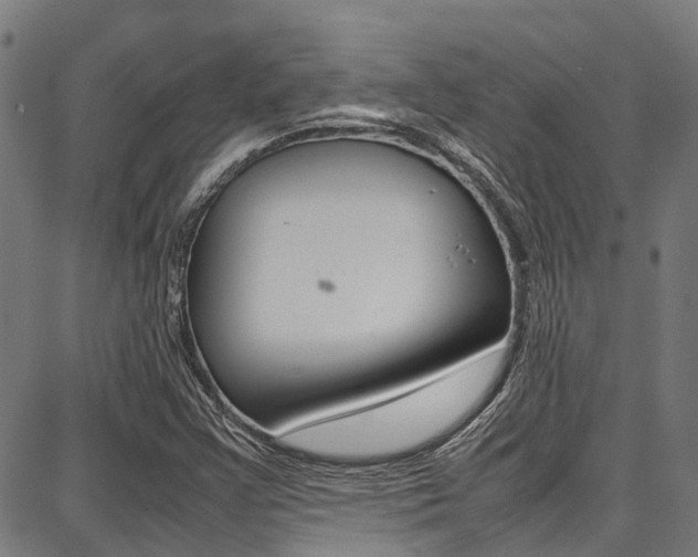 X0000087711355200705040906