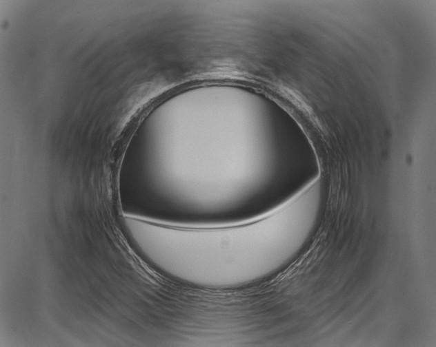 X0000087711356200705040906