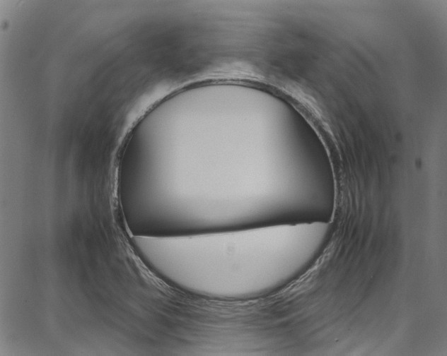 X0000087711366200705040906