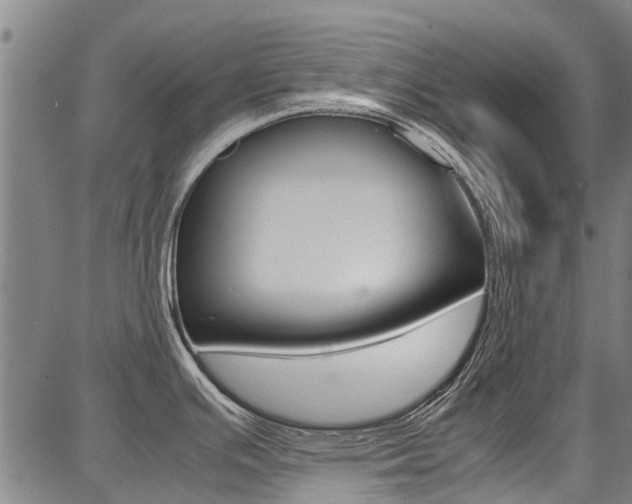 X0000087711391200705040905
