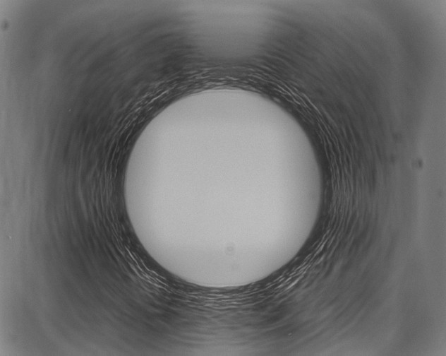 X0000087711394200705040904