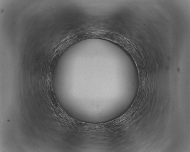 X0000087711397200705040904
